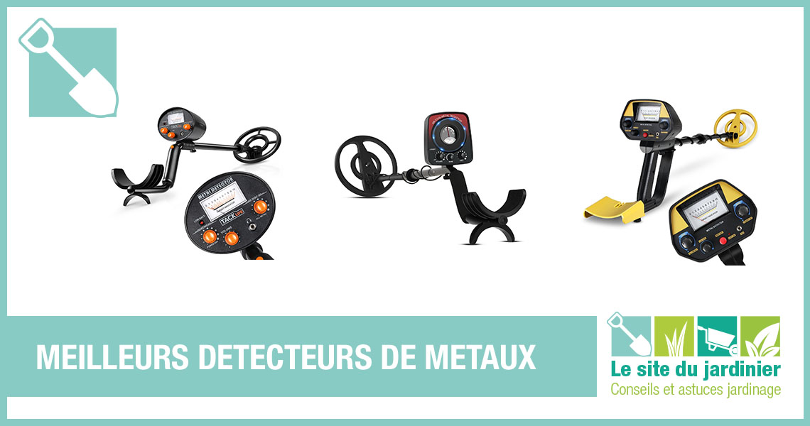 Meilleur détecteur de métaux en 2021 [TOP 5 comparatif] — free download