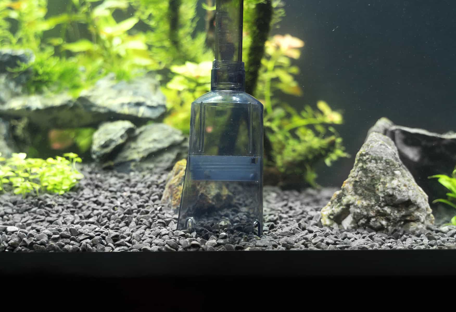 Tout comprendre sur l’entretien de votre aspirateur d’aquarium